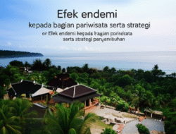 Efek endemi  kepada bagian pariwisata serta strategi penyembuhan