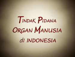 Tindak Pidana Perdagangan Organ Manusia di Indonesia